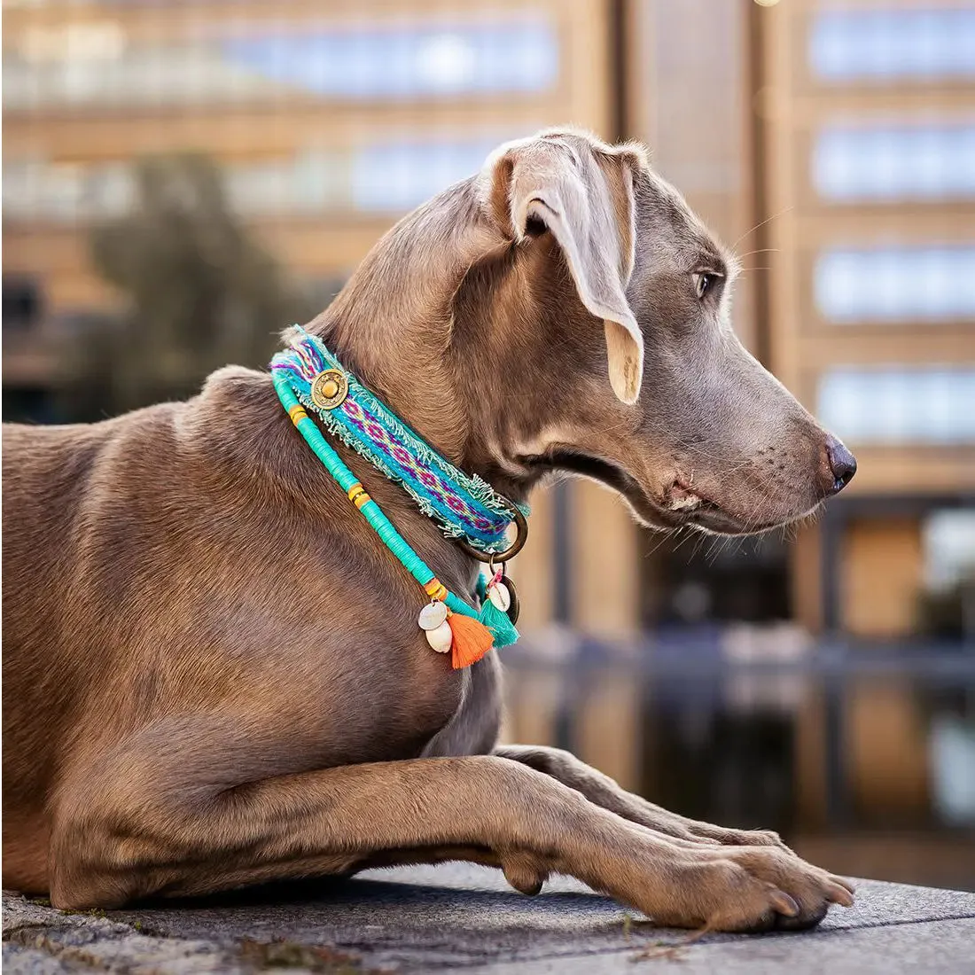 Bohemian Hundekette - "ibiza jewel TÜRKIS"