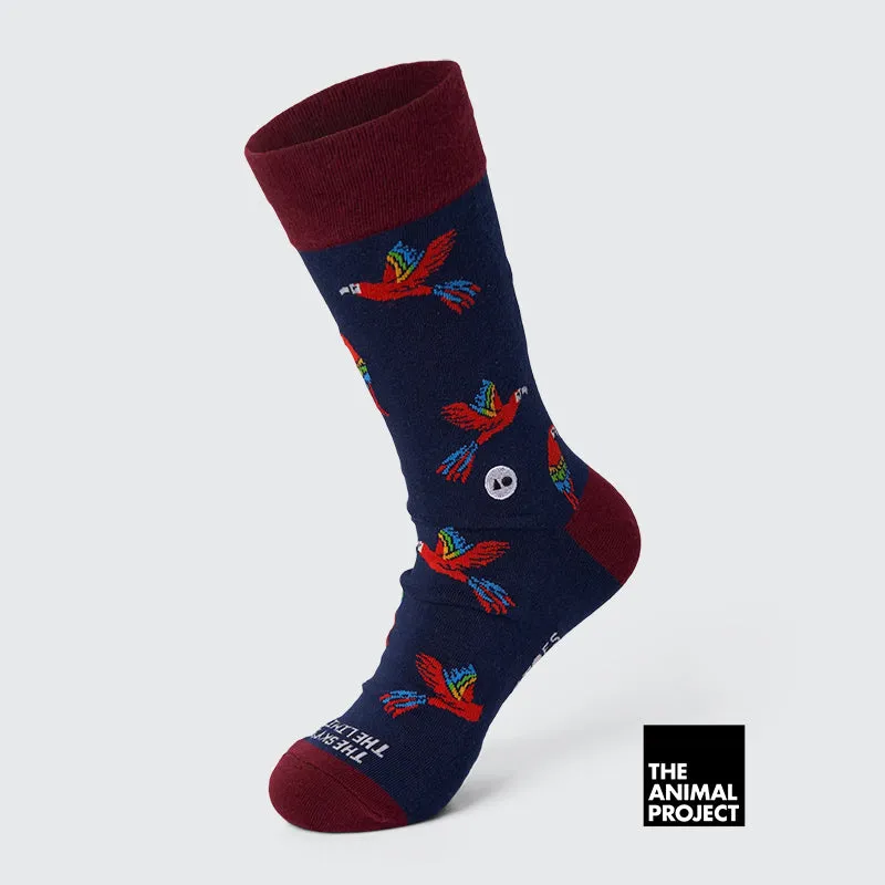 Talking Toes x TAP - Soaring Macaw Sock